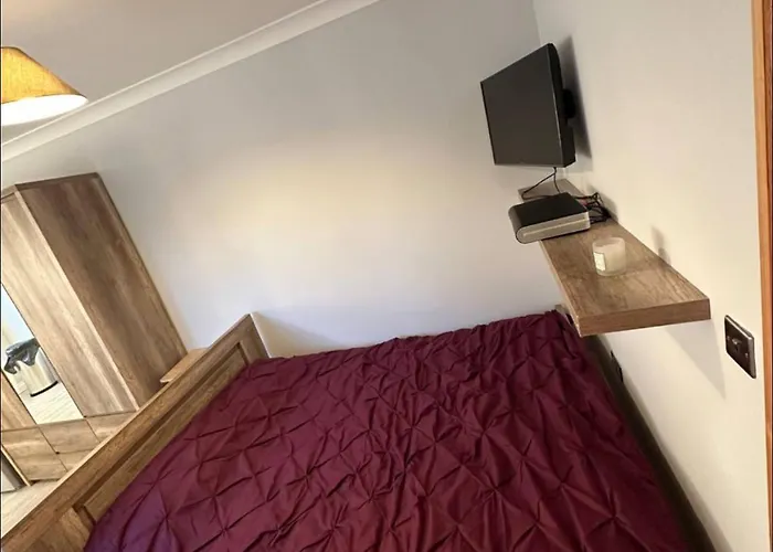 Gatwick Cosy Apartment