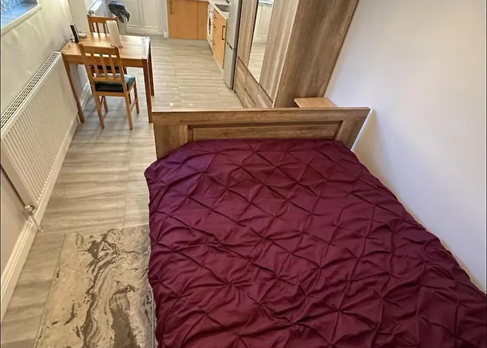 Gatwick Cosy Apartment